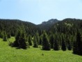 /album/maly-rozsutec/p6140067-medium-jpg/